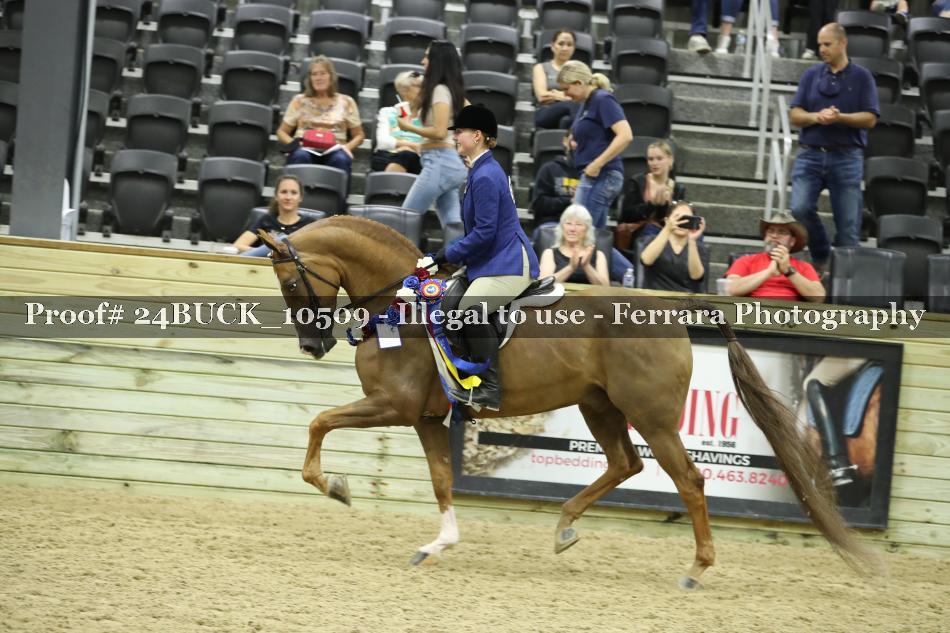 Proof 24BUCK_10509