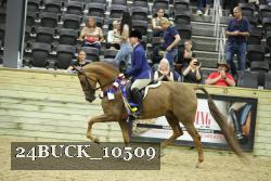 24BUCK_10509 proof