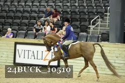 24BUCK_10510 proof