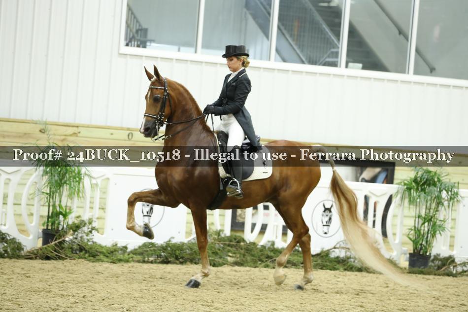 Proof 24BUCK_10518