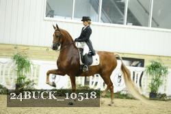 24BUCK_10518 proof