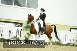 24BUCK_10523 proof