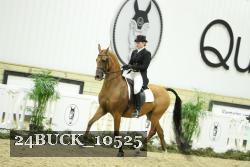 24BUCK_10525 proof