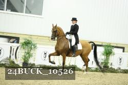 24BUCK_10526 proof