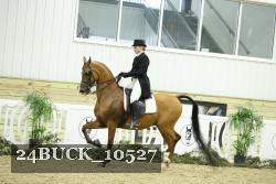 24BUCK_10527 proof