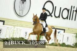 24BUCK_10528 proof
