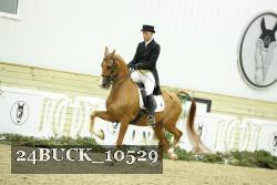 24BUCK_10529 proof