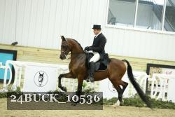 24BUCK_10536 proof