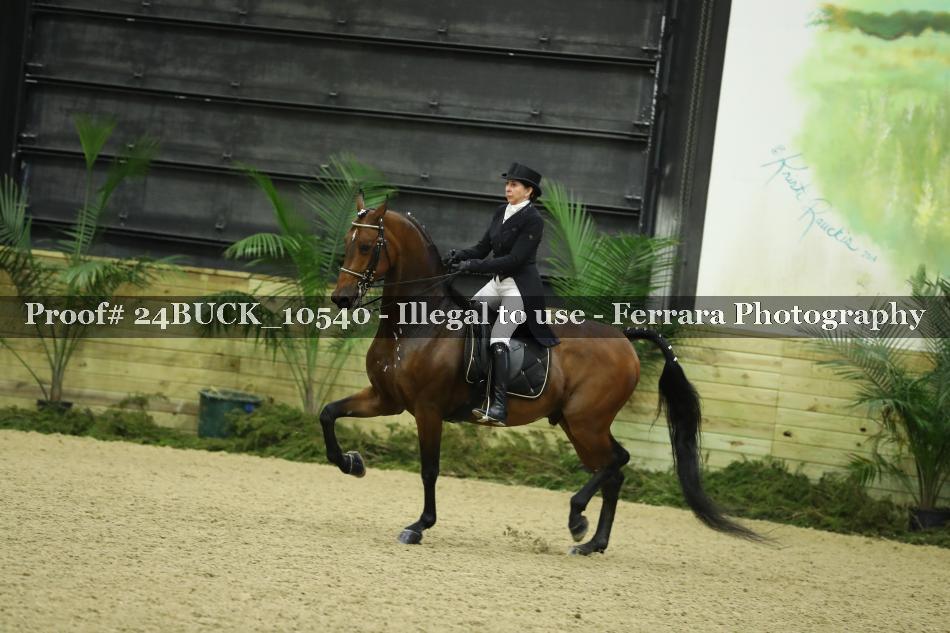 Proof 24BUCK_10540