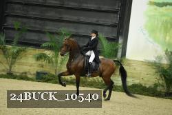 24BUCK_10540 proof