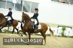24BUCK_10549 proof