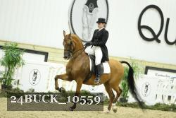 24BUCK_10559 proof