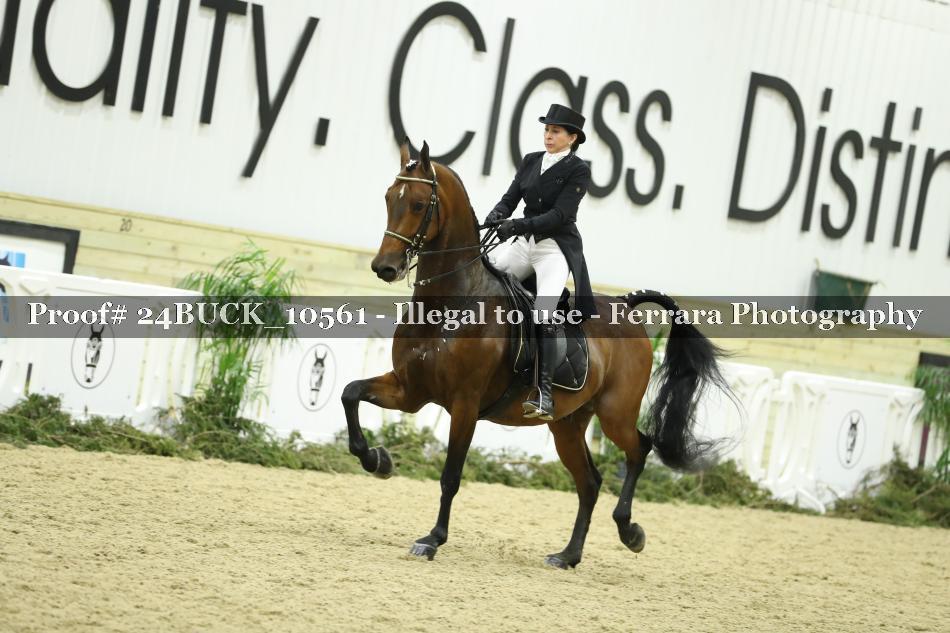 Proof 24BUCK_10561