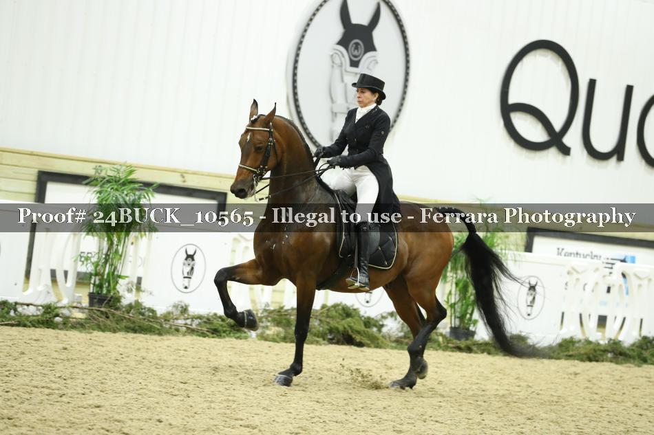 Proof 24BUCK_10565