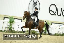 24BUCK_10565 proof