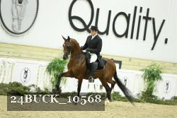 24BUCK_10568 proof