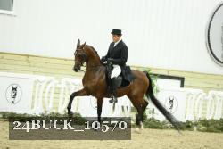 24BUCK_10570 proof