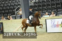 24BUCK_10586 proof