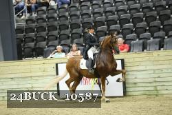 24BUCK_10587 proof