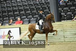 24BUCK_10588 proof