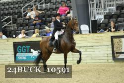24BUCK_10591 proof