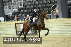 24BUCK_10592 proof