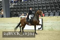 24BUCK_10594 proof