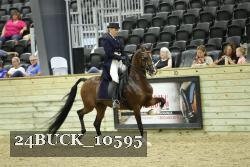 24BUCK_10595 proof