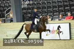 24BUCK_10596 proof
