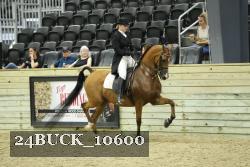 24BUCK_10600 proof