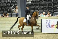24BUCK_10601 proof