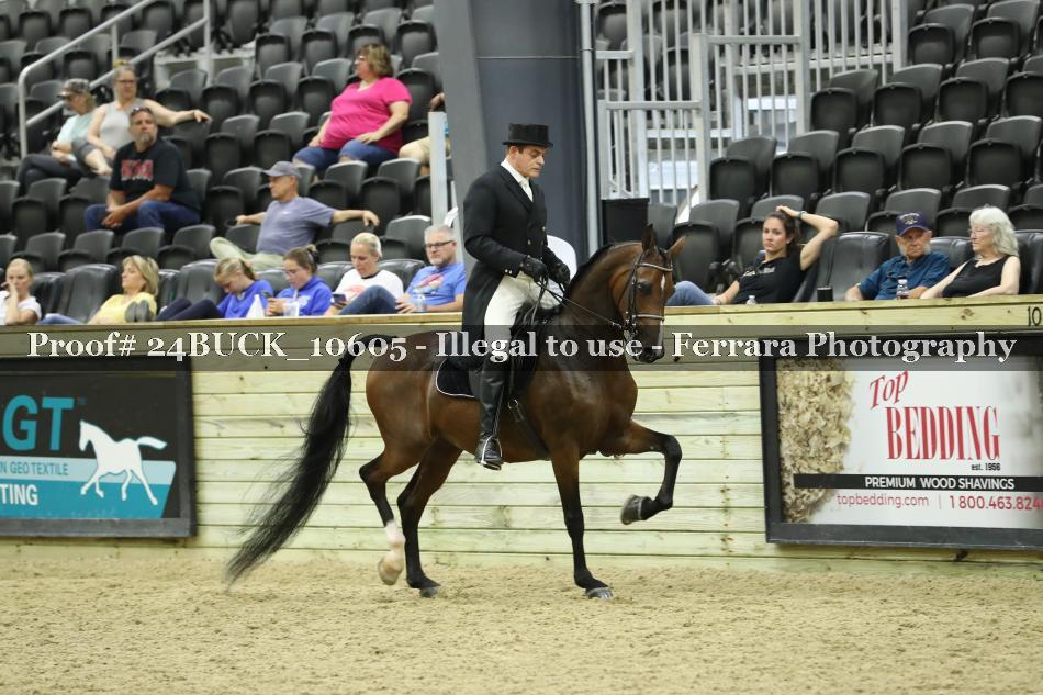 Proof 24BUCK_10605