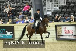 24BUCK_10605 proof