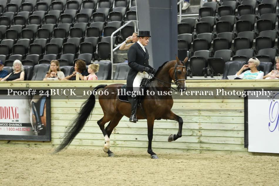 Proof 24BUCK_10606
