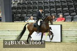 24BUCK_10607 proof