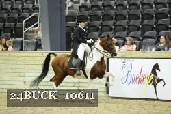 24BUCK_10611 proof