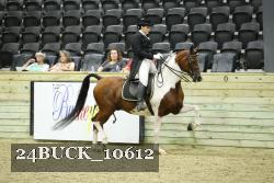 24BUCK_10612 proof