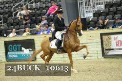 24BUCK_10613 proof