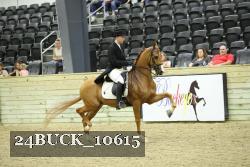 24BUCK_10615 proof