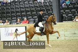 24BUCK_10616 proof