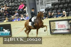 24BUCK_10620 proof