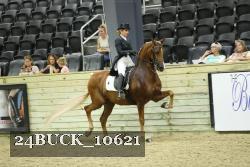 24BUCK_10621 proof