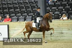 24BUCK_10622 proof