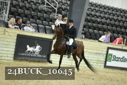 24BUCK_10645 proof
