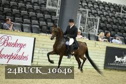 24BUCK_10646 proof
