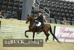 24BUCK_10647 proof
