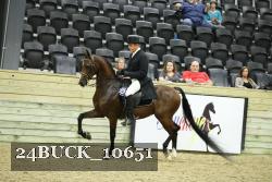 24BUCK_10651 proof