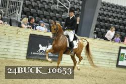 24BUCK_10653 proof