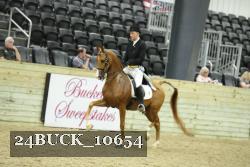 24BUCK_10654 proof
