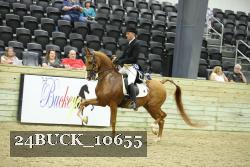 24BUCK_10655 proof